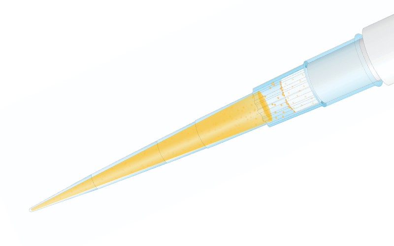 filtered pipette tips